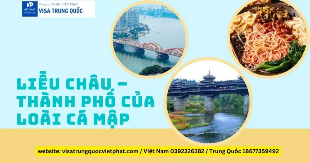 Liễu Châu – Thành Phố Của Loài Cá Mập