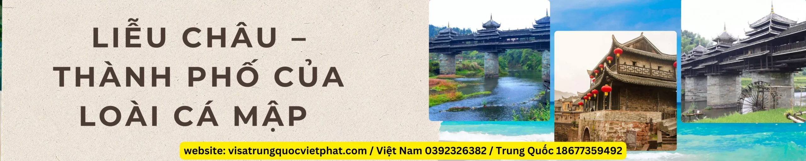 Liễu Châu – Thành Phố Của Loài Cá Mập