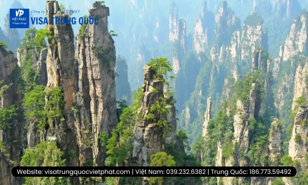 cach-chon-dich-vu-visa-trung-quoc-uy-tin